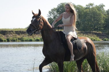 at üzerinde sarışın binici