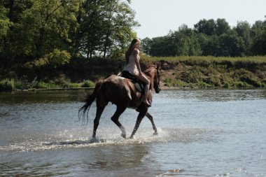 at üzerinde sarışın binici