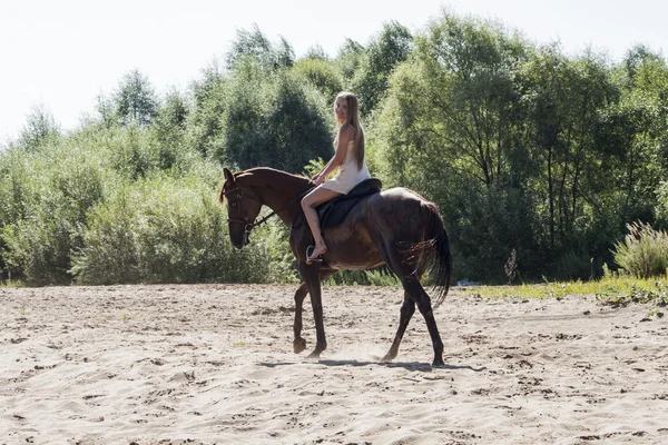 Blond rider on the horse — Stock Photo, Image