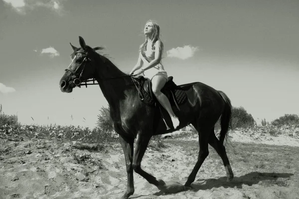 金发碧眼骑手骑着马 — 图库照片