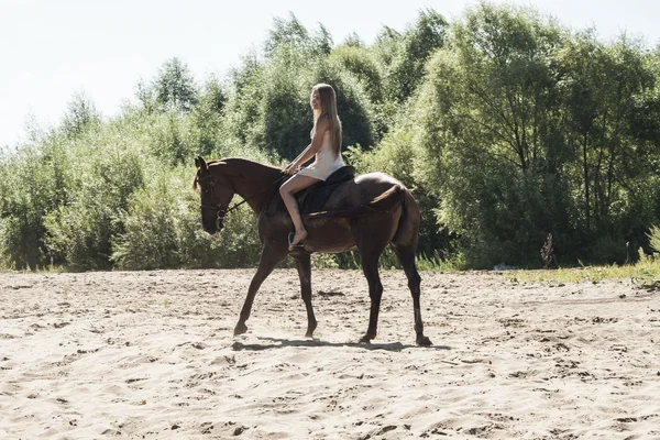 Blondă călăreț pe cal — Fotografie, imagine de stoc