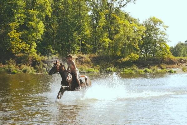 Blond rider on the horse — Stock Photo, Image