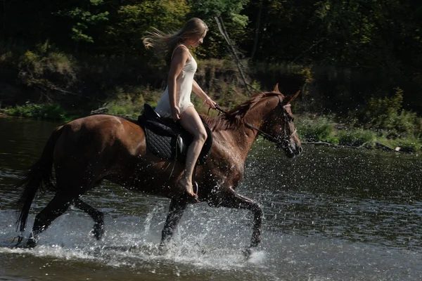 Blond rider on the horse — Stock Photo, Image