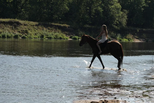 Blond rider on the horse — Stock Photo, Image