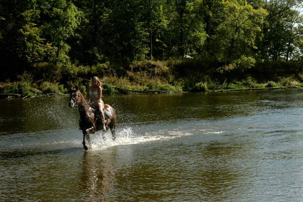 Blonde ruiter op het paard — Stockfoto