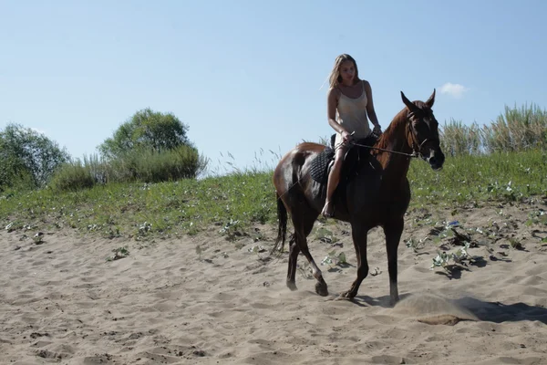 Blond rider on the horse — Stock Photo, Image