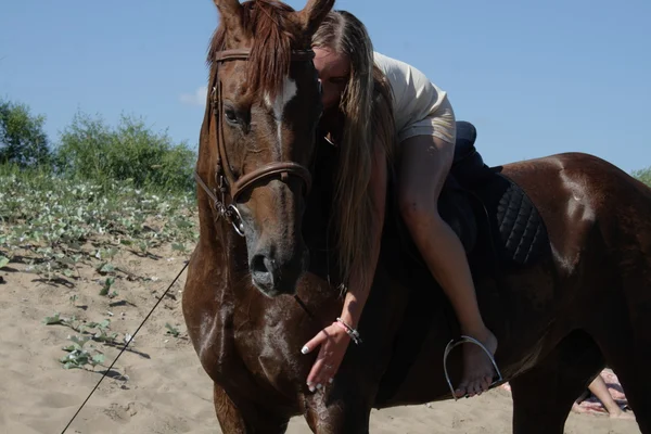 Blond rider on the horse — Stock Photo, Image