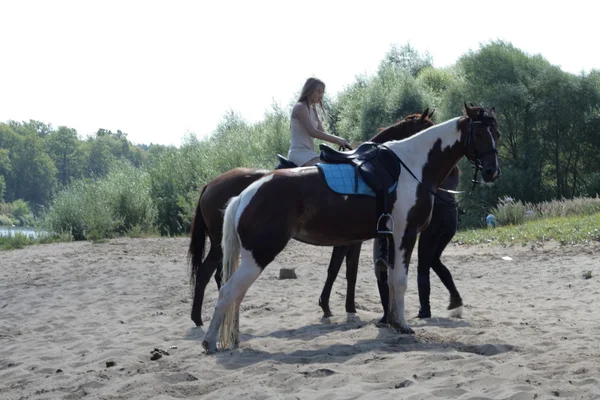 Jinete rubio en el caballo — Foto de Stock