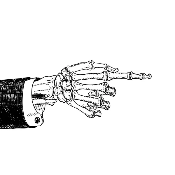 Scary skeleton hand pointing, hand-drawn sketch, black and white, isolated on white. Vector illustration, eps10. — Image vectorielle