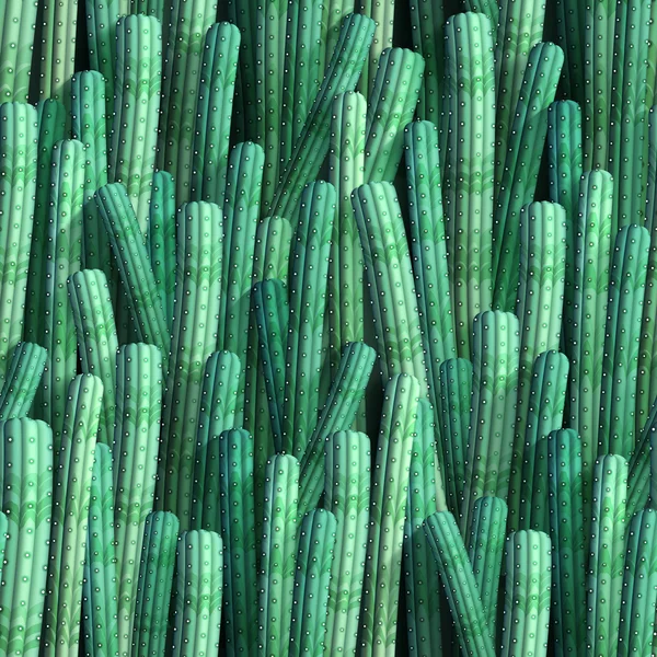 Seamless mönster med realistiska kaktusar Stockvektor