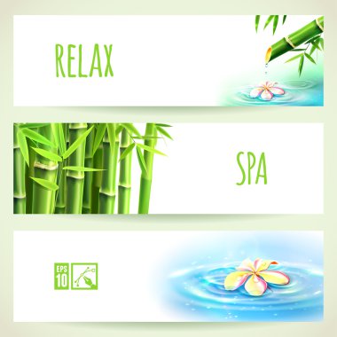 Yatay bambu afiş kümesi. Vektör çizim, eps10, düzenlenebilir.