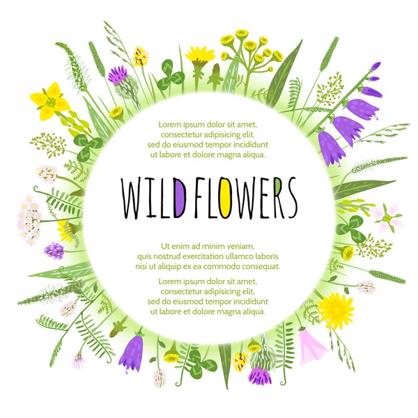 Wildblumen, runder floraler Rand, isoliert auf weiß. Vektorillustration. — Stockvektor