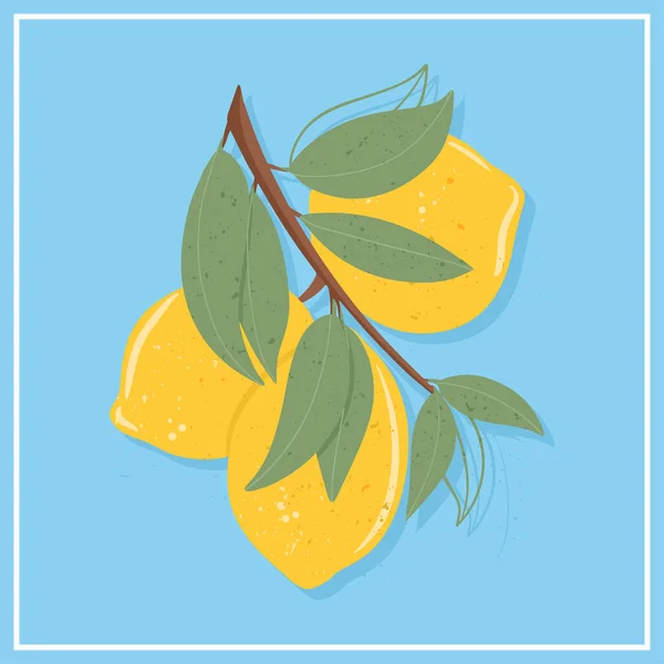Frutas de limão texturizadas frescas no ramo com folhas vetor ilustração desenhada à mão. — Vetor de Stock
