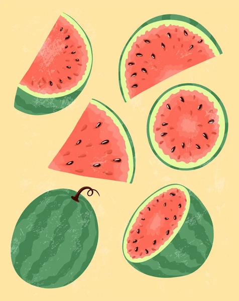 Fresh and ripe watermelon vector hand drawn illustration. Watermelon slices, summer food illustration. — Stock Vector