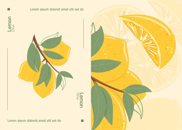 Свежие текстурированные лимонные фрукты на ветке с векторным рисунком карточки с текстом. — стоковый вектор