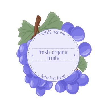 Şarap üzümleri, masa üzümleri vektör el çizimi logoti tasarımı. Yapraklı taze meyveler.