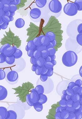 Şarap üzümleri, masa üzümleri vektör el çizimi kart tasarımı. Yapraklı taze meyveler.