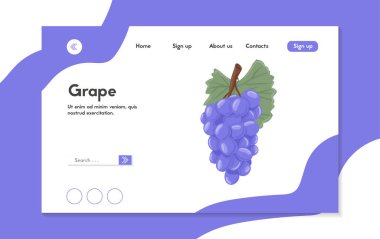 Şarap üzümleri, masa üzümleri vektör eli iniş sayfası konsepti. Yapraklı taze meyveler.