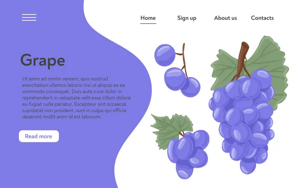 ワインブドウ、テーブルブドウベクトル手ランディングページのコンセプト。葉のある枝の上の新鮮な果実. — ストックベクタ