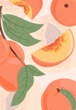 Olgun şeftaliler dalda. Tatlı nektarin meyve vektör el çizimi kart tasarımı. Şeftali tohumu, yapraklar.