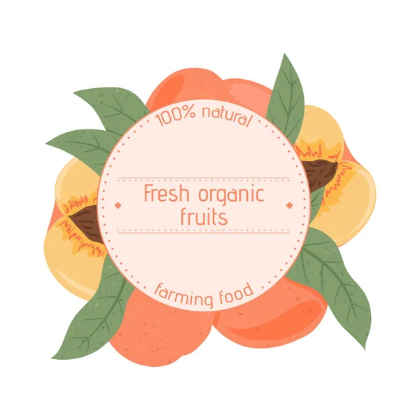 Zralé broskve, celé, nakrájené na plátky a na plátky. Sweet nectarine fruits vector hand drawn label design. — Stockový vektor