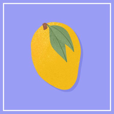 Ripe mango. Sweet mango fruit vector hand drawn illustration on violet background.
