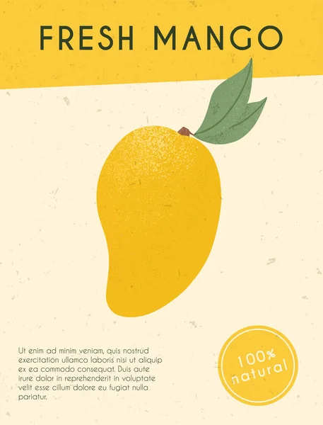 Mogen mango med löv. Söta mango frukter vektor handritade kort design. Mango med blad. — Stock vektor