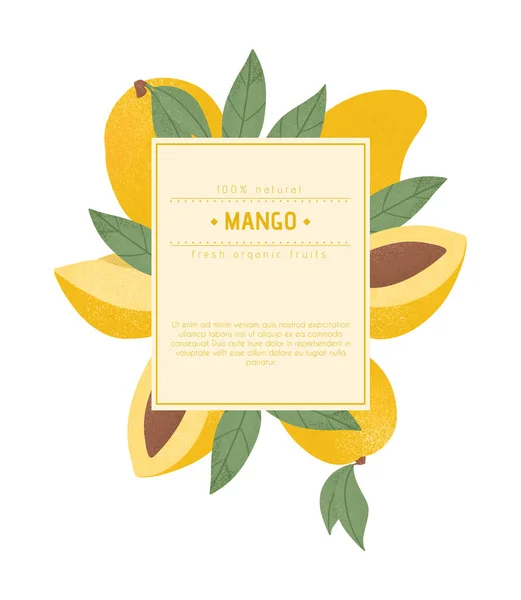 Mogen mango, hel, skivad och halvskivad mango. Söta mango frukter vektor handritad etikett design. — Stock vektor