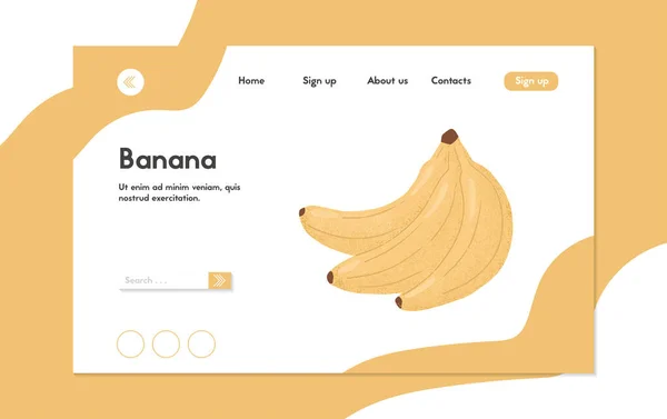 成熟的香蕉登陆页面设计。甜香蕉水果向量手绘网站概念. — 图库矢量图片