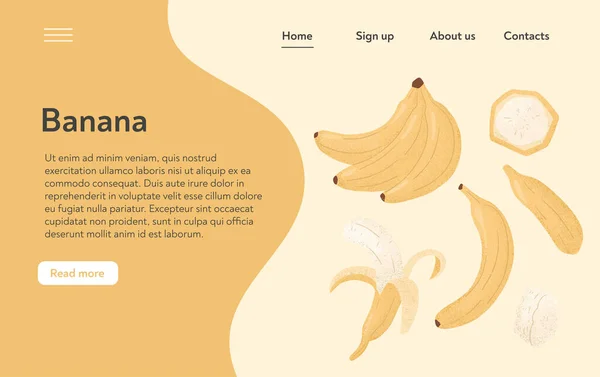 熟すバナナランディングページのデザイン。甘いバナナフルーツベクトル手描きのウェブサイトのコンセプト。明るいおいしいトロピカルフルーツ. — ストックベクタ