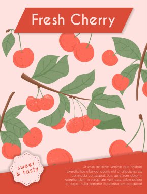 Olgun kiraz kartı tasarımı. Dalında taze kiraz çileği ve vektör elle çizilmiş pankart konsepti. Parlak lezzetli böğürtlenler. Meyve suyu veya reçel poster şablonu.