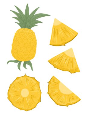 Olgun ananas parçaları seti. Beyaz arka planda tatlı ananas meyve vektör el çizimi. Parlak, lezzetli tropikal meyveler. Meyve suyu ya da reçel logosu.