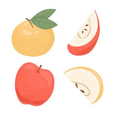 Olgun elmalar. Tatlı kırmızı ve sarı elmalar, bütün ve dilimlenmiş meyve vektörü el çizimi..