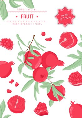 Yapraklar ve taneler vektör el çizimi kart şablonlu nar meyveleri. Taze nar..