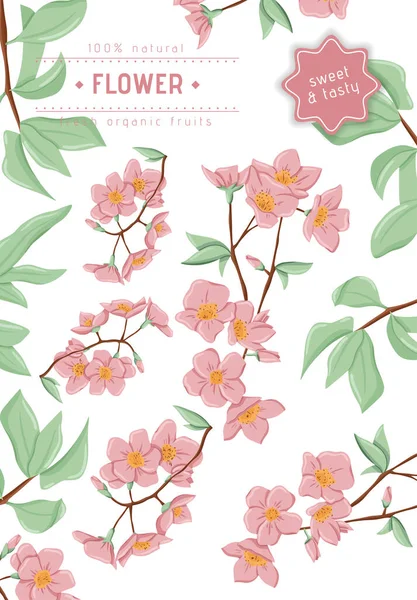 Frisch rosa Blüten auf Zweigen mit Blättern Kartenvorlage. Vektor handgezeichnete Illustration von Frühlingsblumen. — Stockvektor