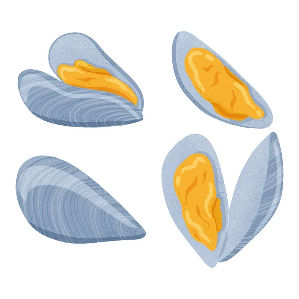 Čerstvé chutné mušle z mořských plodů, měkkýši v mušlí vektorové ručně kreslené ilustrace izolované na bílém pozadí. — Stockový vektor