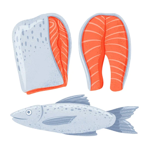 Peixes do mar de salmão saborosos frescos com filetes ilustração desenhada à mão vetorial isolada no fundo branco. —  Vetores de Stock