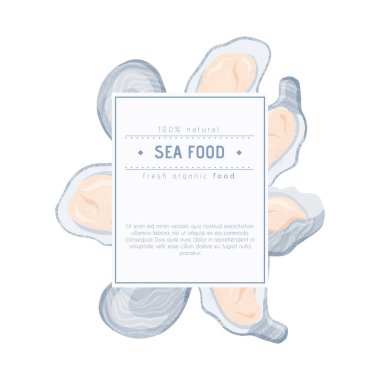 Taze deniz ürünleri midyeleri, deniz kabukları içinde istiridyeler vektör el yazısı kavramı ve metin için boşluk..