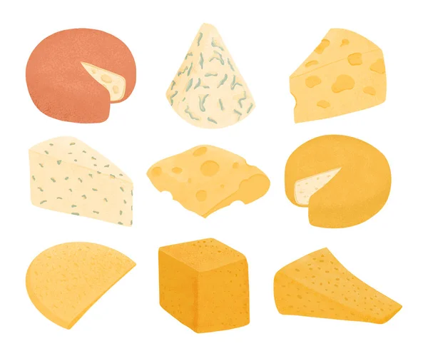 Set of swiss cheeses vector flat illustration. Gouda, Parmesan, Brie, Roquefort or Maasdam cheese. — Stockvektor