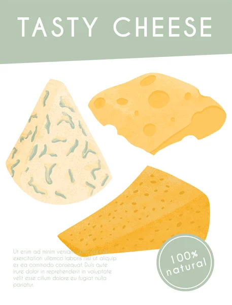 Swiss or French cheese vector flat poster concept. Gouda, Parmesan, Brie, Roquefort or Maasdam. — Stockvektor