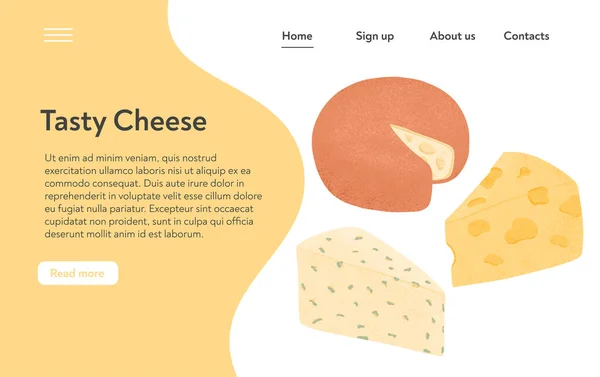 Swiss cheese round wheels with cut piece vector flat landing page concept. Gouda and Maasdam fresh and tasty wheels. — ストックベクタ