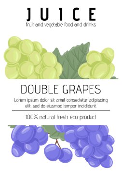 Taze organik meyve suyu ve böğürtlen suyu tasarımı. Beyaz ve kırmızı üzümlü içecek vektör el çizimi. Doğal lezzetli ürün afişi tasarımı. Lezzetli ve lezzetli meyve posteri konsepti.