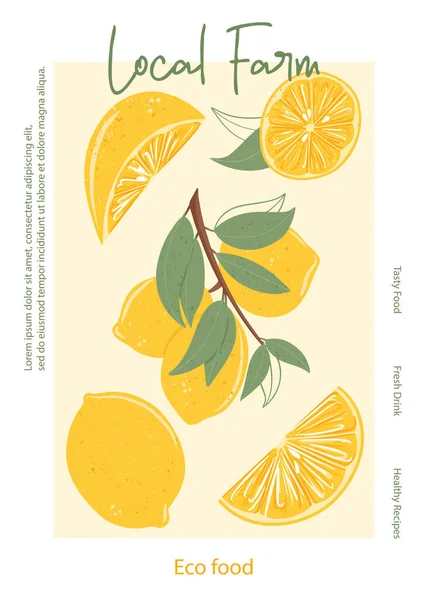 Meyve limon suyu paketleme tasarımı. Yapraklı limon meyvesi, vektör el çizimi, yazılı kart tasarımı. Limonata, C vitamini, sonbahar yerel tarım pazarı için lezzetli ve sulu meyve posterleri tasarımı.