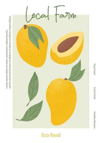 Meyve mango suyu ambalajı tasarımı. Olgun mango ve yerel çiftlik afişi şablonu. Tatlı mango meyve vektör el çizimi kart tasarımı. Tarım pazarı için meyve suyu veya reçel poster konsepti.