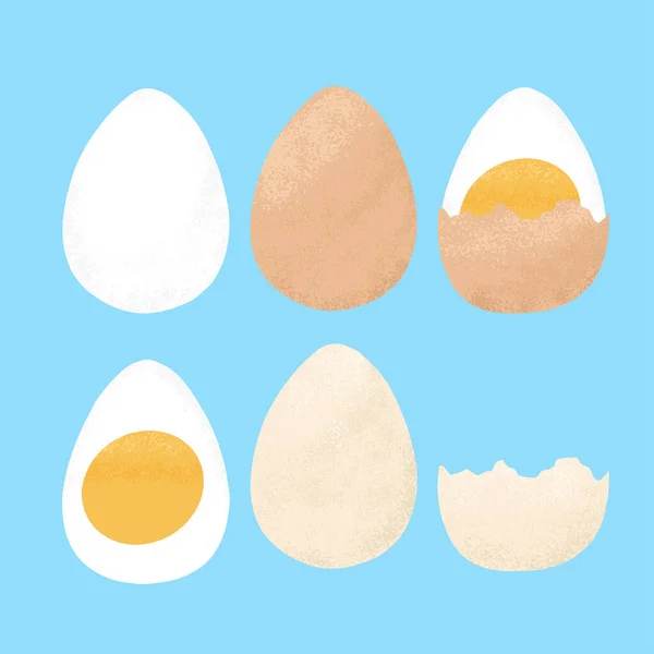 Uppsättning kokta ägg, halv och skivad vektor handritad illustration. Friska livsmedel. Lagade goda hönsägg. — Stock vektor