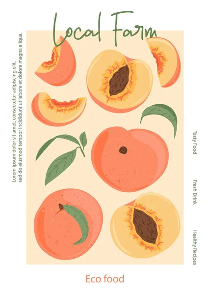 Frukt Persika Juice Vektor Handritad Affisch Design Mogna Persikor Hela Stockillustration