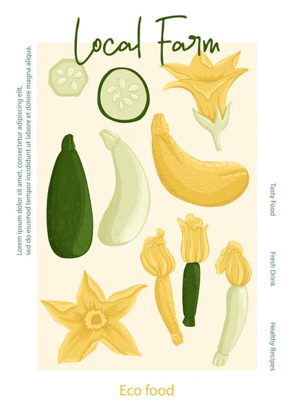 地元の農場ポスターデザイン 野菜ズッキーニのカバーの概念 ベクトルズッキーニの漫画のイラスト 秋の農業市場の車 ポスターやチラシのための健康的な有機栽培の遊女 ストックベクター