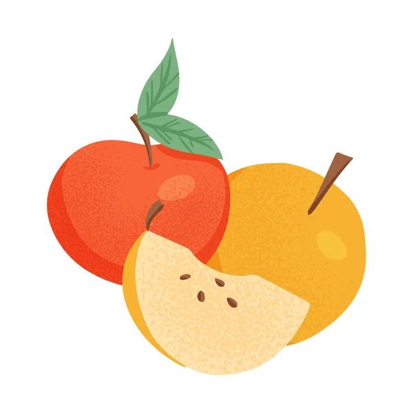 Maçãs maduras. Maçãs vermelhas e amarelas doces, vetor de frutas inteiro e fatiado ilustração desenhada à mão sobre fundo branco. — Vetor de Stock