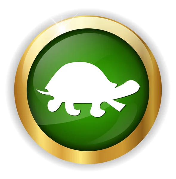 Turtle web button — Stock Vector