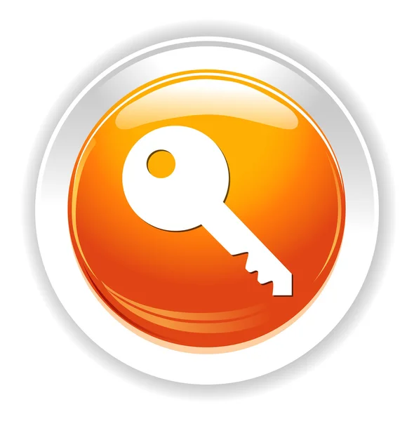 Key web icon — Stock Vector